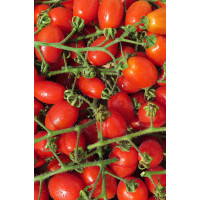 Cherry-Tomaten, 250g